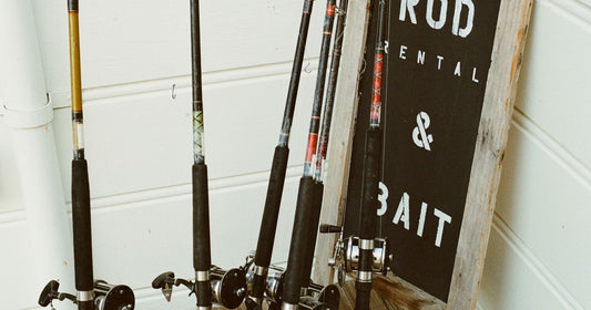 Best Fishing Pole Holder for Garage & Boat Storage