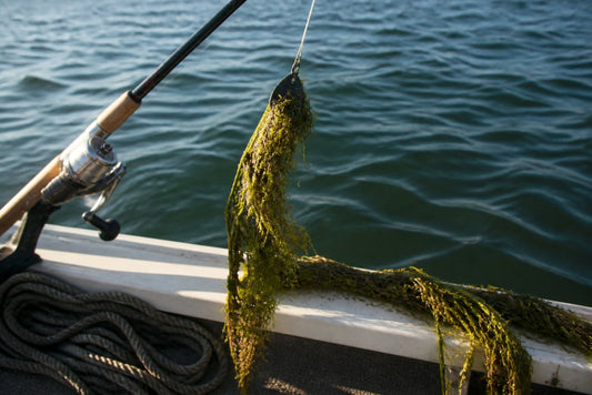 How to Fish Weed Lines: A Complete Guide