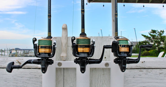 Best Spinning Rods 2026: Top 5 Ranked for Freshwater & Salt