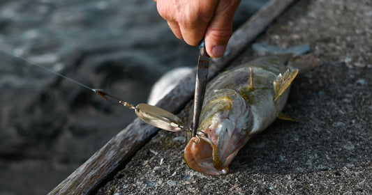 How to Remove Weeds From Fishing Bait: Quick Methods