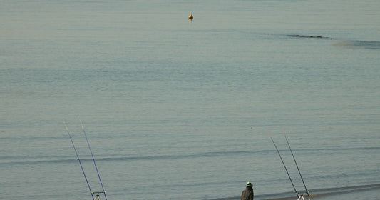 Best Portable Rod Holders 2026: Top 5 Ranked