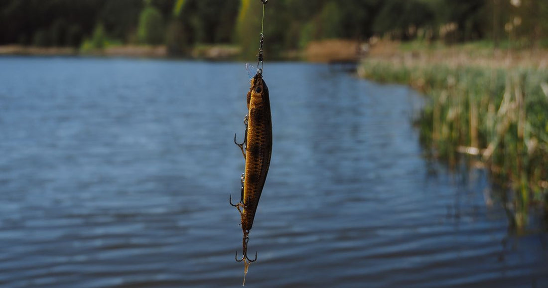 Best Fishing Tackle for Weedy Lakes 2026: Top 6 Ranked