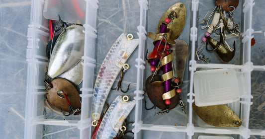Best Ways to Prevent Weeds Covering Fishing Lures