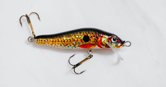 Best Trolling Fishing Gear & Accessories for Your Next Catch