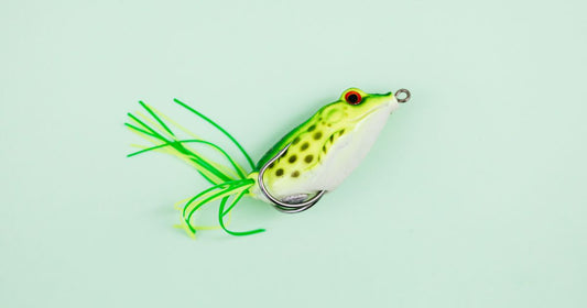 Best Innovative Fishing Tackle Accessories 2026: Top 6 Ranked